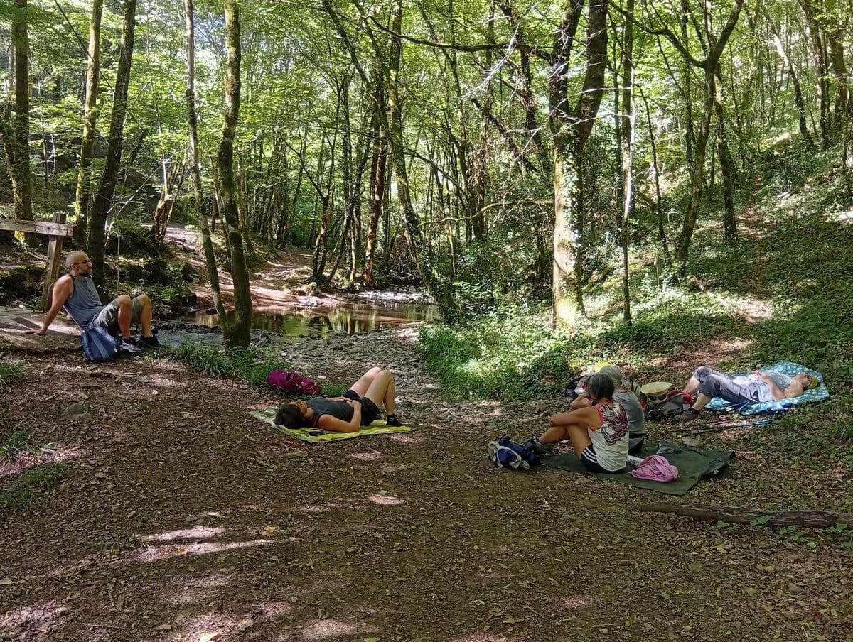 Moments de détente du séjour randonnées et zénitude — tapis de relaxation au bord du ruisseau, reconnexion à l'arbre et au lac